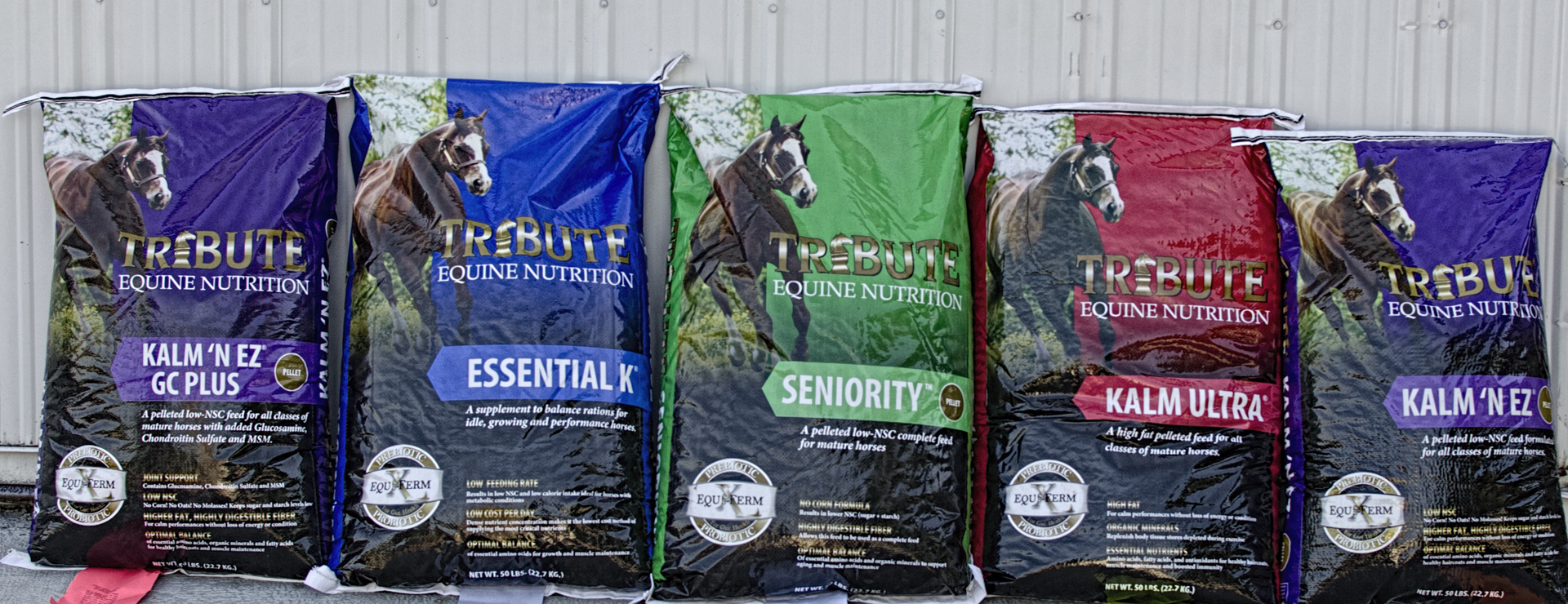 horse feed